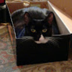 Meet your Posher, Tammy